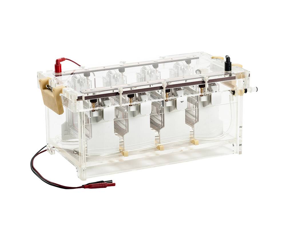 High Throughput Electrophoresis